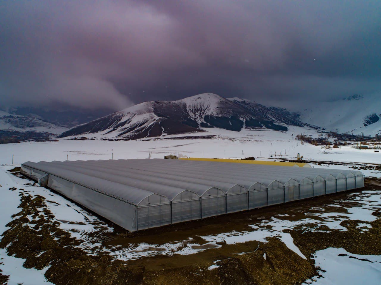 GREENHOUSE ECONOMY